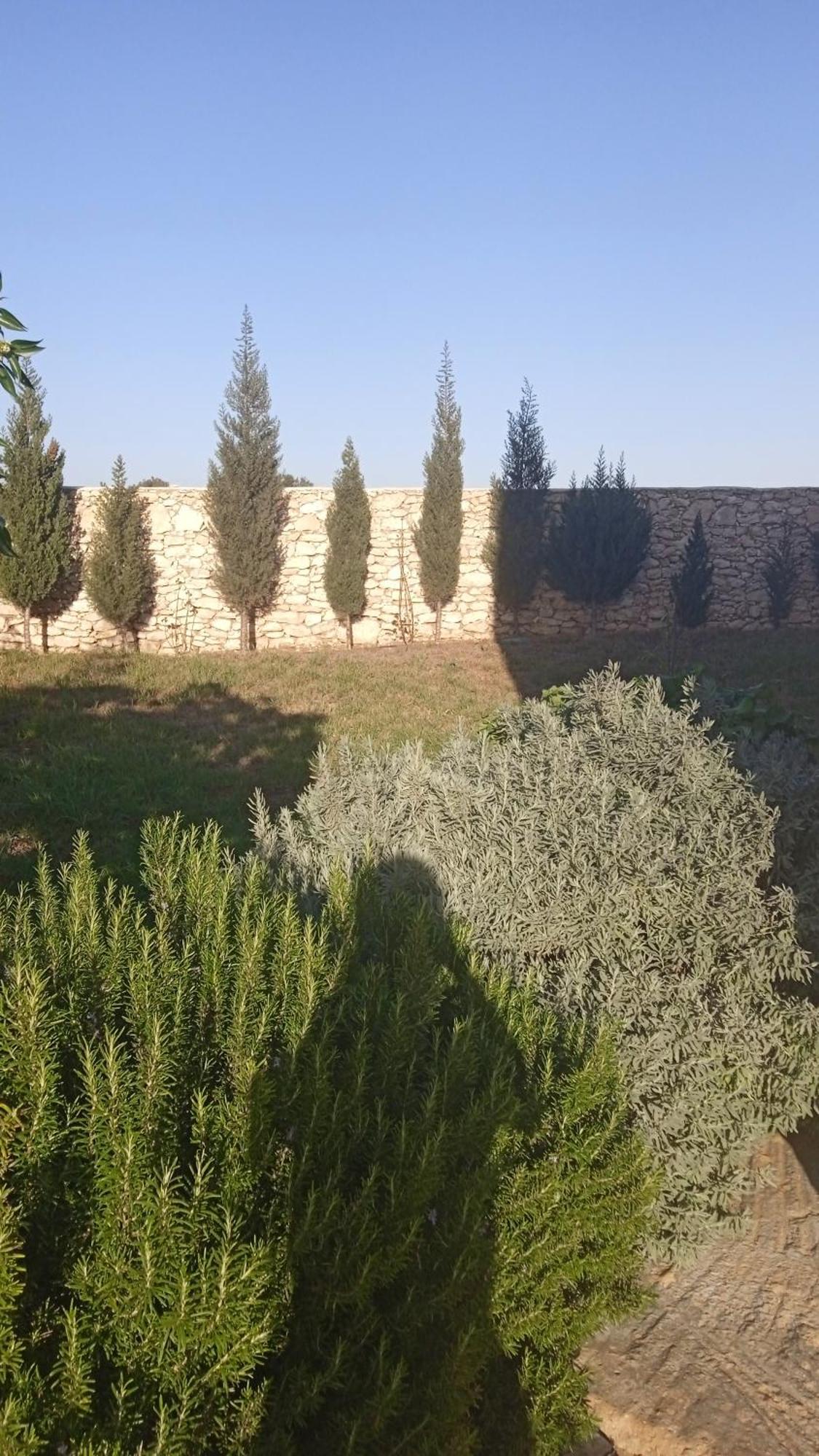 Villa Rabia Sidi Kaouki Exterior foto
